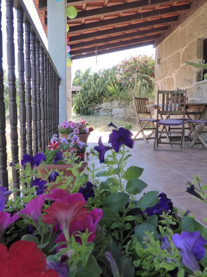 Вілла Quinta Do Cobral Олівейра-ду-Ошпітал Екстер'єр фото