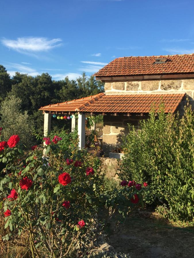 Вілла Quinta Do Cobral Олівейра-ду-Ошпітал Екстер'єр фото