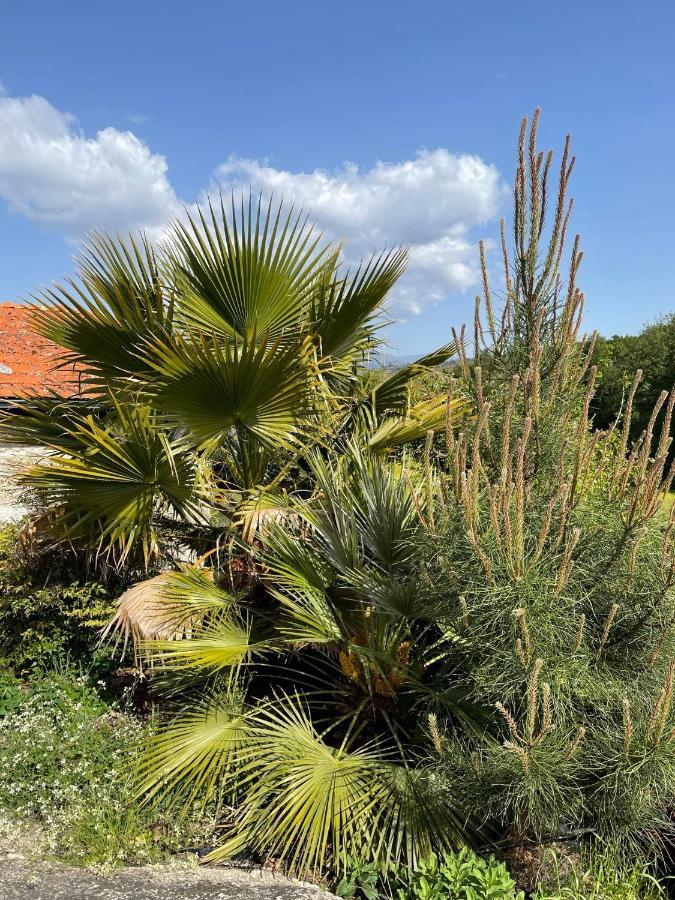 Вілла Quinta Do Cobral Олівейра-ду-Ошпітал Екстер'єр фото