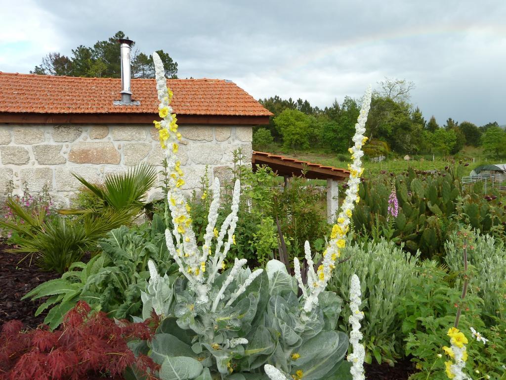 Вілла Quinta Do Cobral Олівейра-ду-Ошпітал Екстер'єр фото