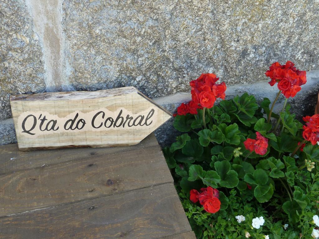 Вілла Quinta Do Cobral Олівейра-ду-Ошпітал Екстер'єр фото